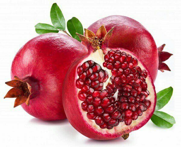 7 Obat Herbal Batu Ginjal 7 Obat Herbal Batu Ginjal
