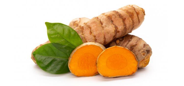 7 Tanaman Herbal untuk Meningkatkan Imunitas yang Mudah Didapatkan 7 Tanaman Herbal untuk Meningkatkan Imunitas yang Mudah Didapatkan