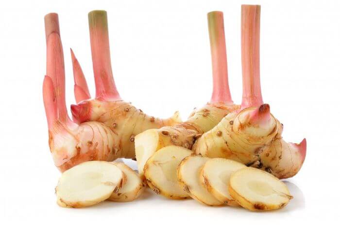 7 Tanaman Herbal untuk Meningkatkan Imunitas yang Mudah Didapatkan 7 Tanaman Herbal untuk Meningkatkan Imunitas yang Mudah Didapatkan